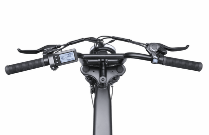 Ape Ryder Colobus Premium