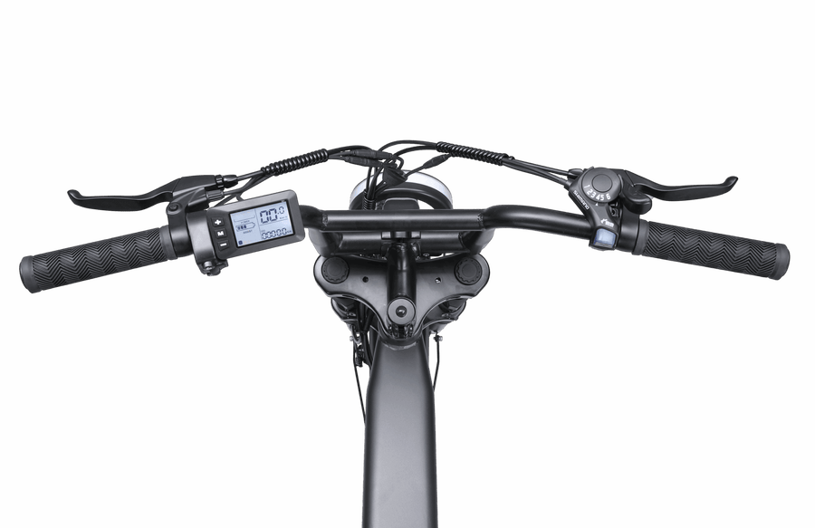 Ape Ryder Colobus Premium