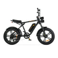 ENGWE M20