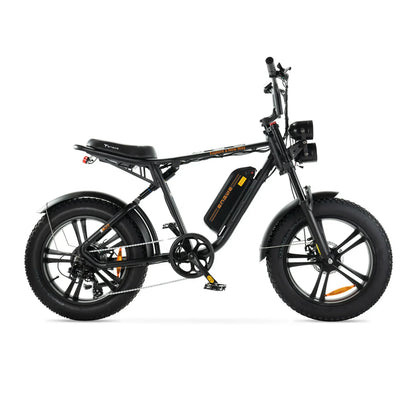 ENGWE M20