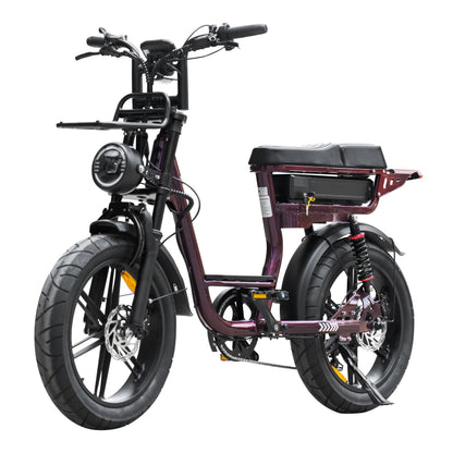 QmWheel V20 Comfort - Paars