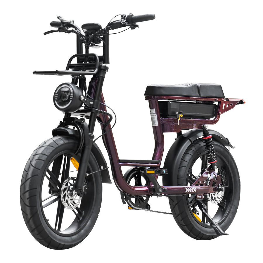 QmWheel V20 Comfort - Paars