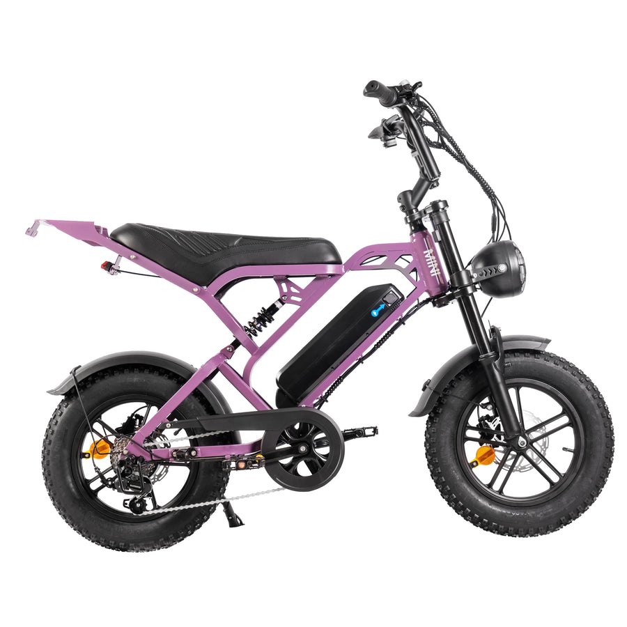 QmWheel V20 Mini - Paars